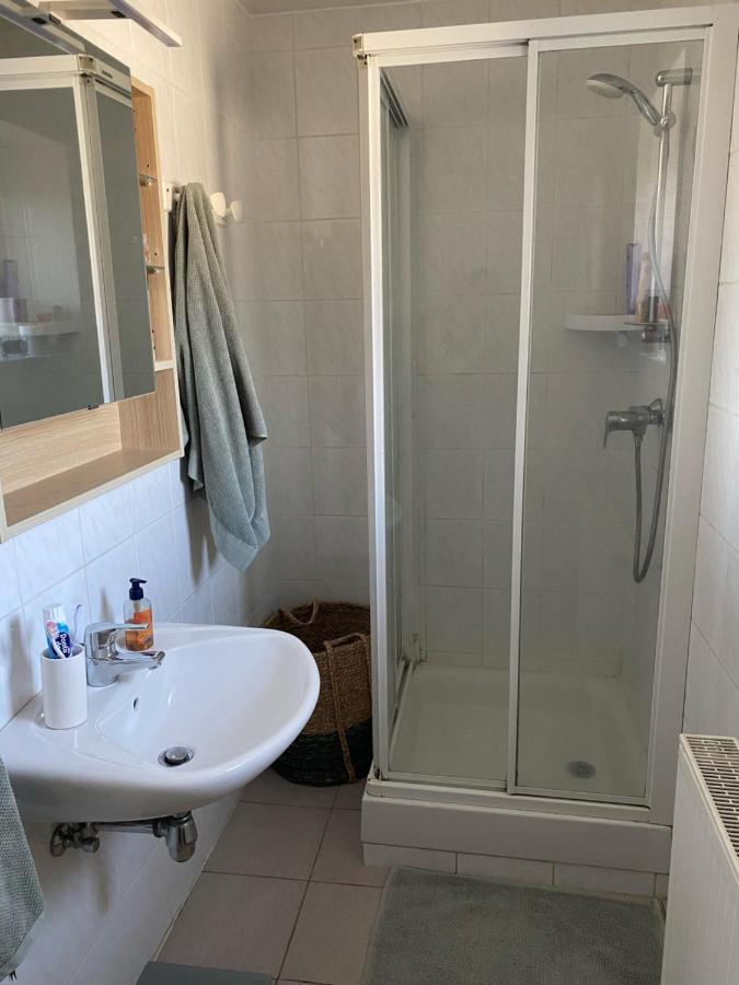 Les Pampas Apartment Montbronn Luaran gambar